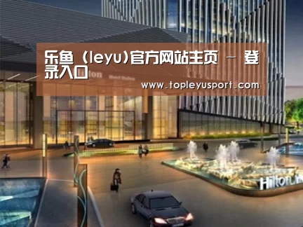 案例展示二