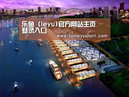 案例展示八